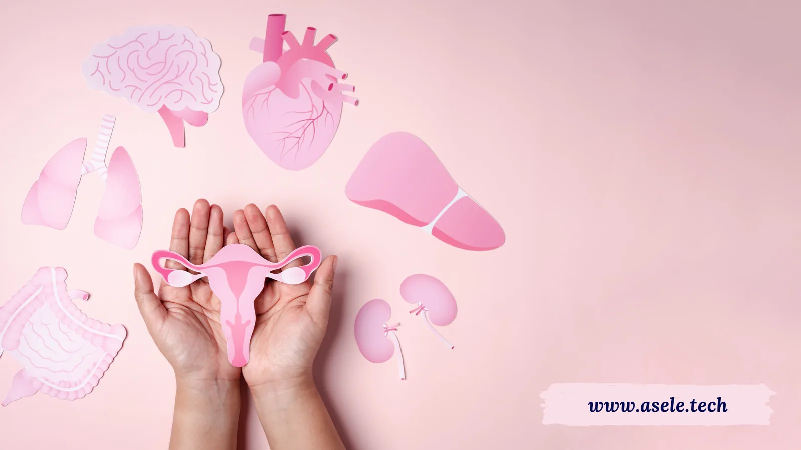 PCOS and Fertility: Separating Fact From Fear